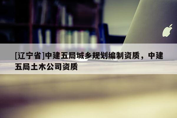 [辽宁省]中建五局城乡规划编制资质，中建五局土木公司资质