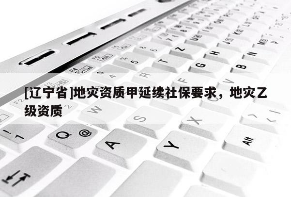 [辽宁省]地灾资质甲延续社保要求，地灾乙级资质