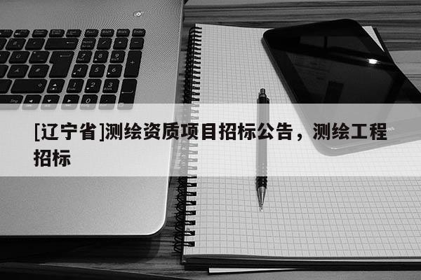 [辽宁省]测绘资质项目招标公告，测绘工程招标