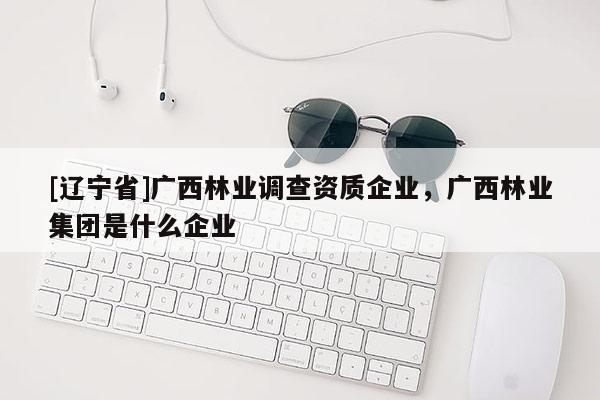 [辽宁省]广西林业调查资质企业，广西林业集团是什么企业