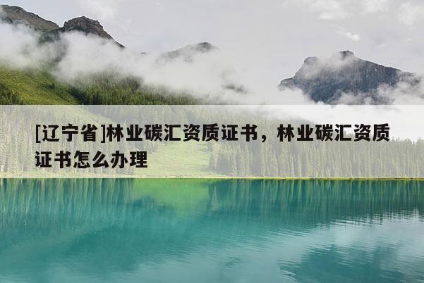 [辽宁省]林业碳汇资质证书，林业碳汇资质证书怎么办理