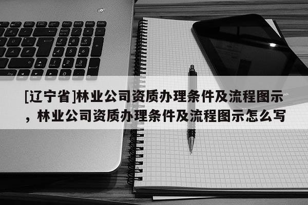 [辽宁省]林业公司资质办理条件及流程图示，林业公司资质办理条件及流程图示怎么写