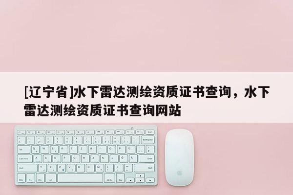 [辽宁省]水下雷达测绘资质证书查询，水下雷达测绘资质证书查询网站