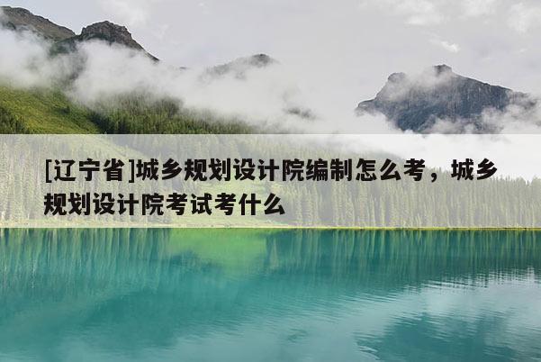[辽宁省]城乡规划设计院编制怎么考，城乡规划设计院考试考什么