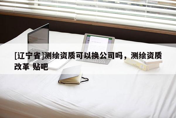 [辽宁省]测绘资质可以换公司吗，测绘资质改革 贴吧