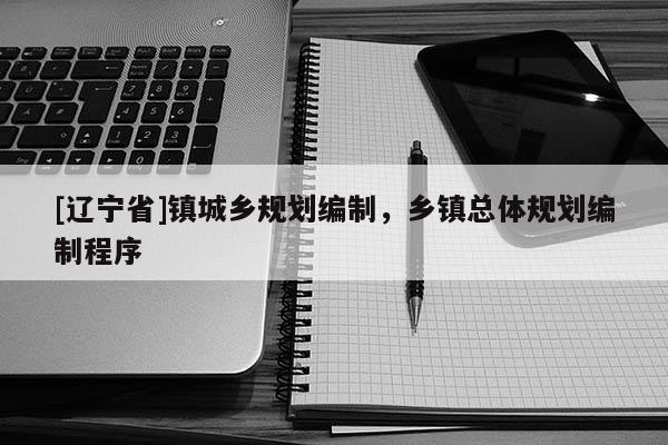 [辽宁省]镇城乡规划编制，乡镇总体规划编制程序