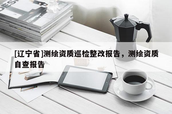 [辽宁省]测绘资质巡检整改报告，测绘资质自查报告
