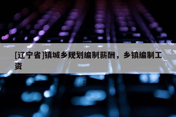 [辽宁省]镇城乡规划编制薪酬，乡镇编制工资