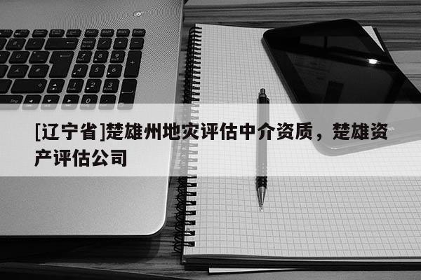 [辽宁省]楚雄州地灾评估中介资质，楚雄资产评估公司