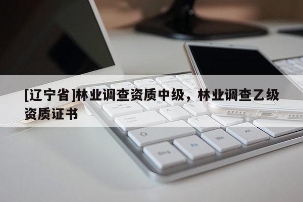 [辽宁省]林业调查资质中级，林业调查乙级资质证书