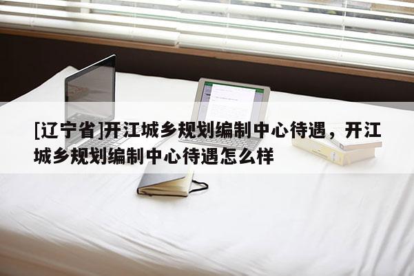 [辽宁省]开江城乡规划编制中心待遇，开江城乡规划编制中心待遇怎么样