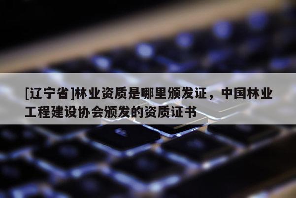 [辽宁省]林业资质是哪里颁发证，中国林业工程建设协会颁发的资质证书