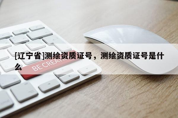 [辽宁省]测绘资质证号，测绘资质证号是什么