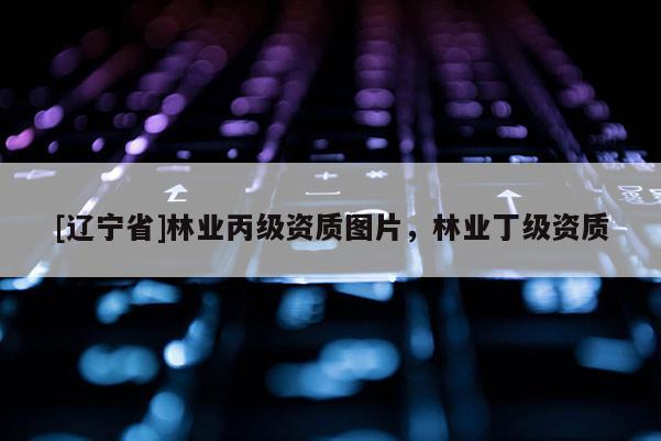 [辽宁省]林业丙级资质图片，林业丁级资质