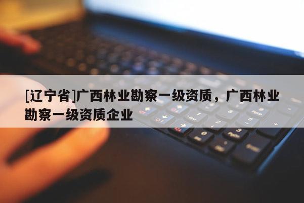 [辽宁省]广西林业勘察一级资质，广西林业勘察一级资质企业