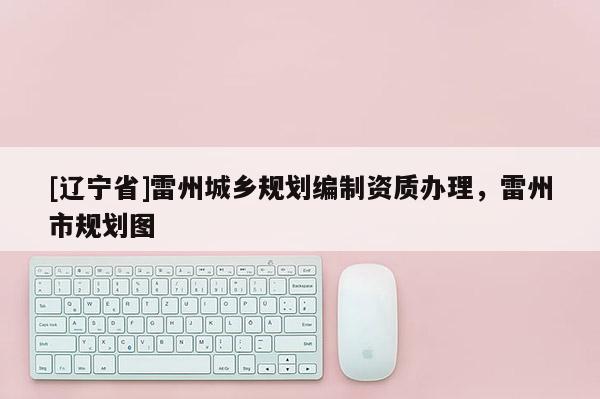 [辽宁省]雷州城乡规划编制资质办理，雷州市规划图