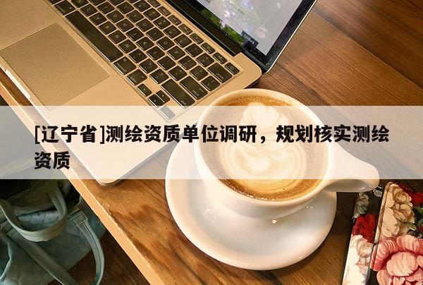 [辽宁省]测绘资质单位调研，规划核实测绘资质