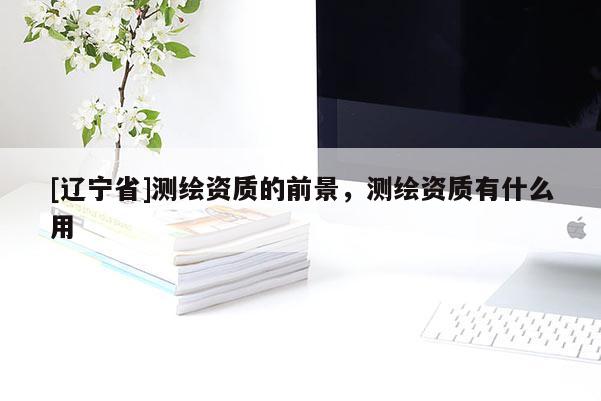 [辽宁省]测绘资质的前景，测绘资质有什么用