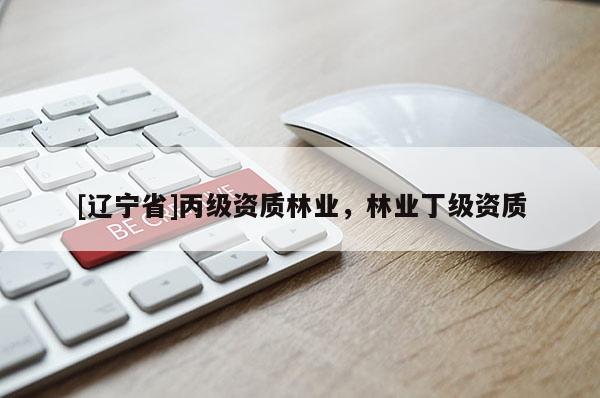 [辽宁省]丙级资质林业，林业丁级资质