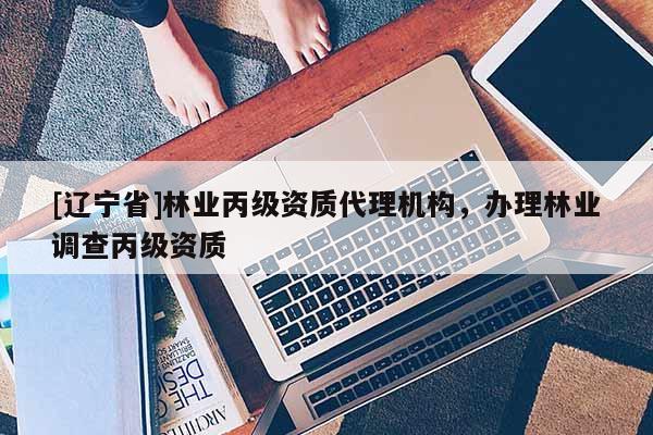 [辽宁省]林业丙级资质代理机构，办理林业调查丙级资质