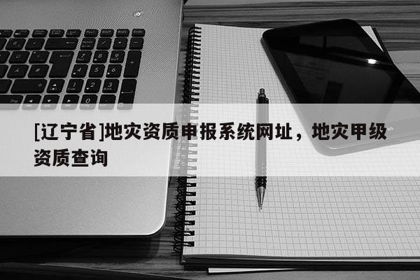 [辽宁省]地灾资质申报系统网址，地灾甲级资质查询