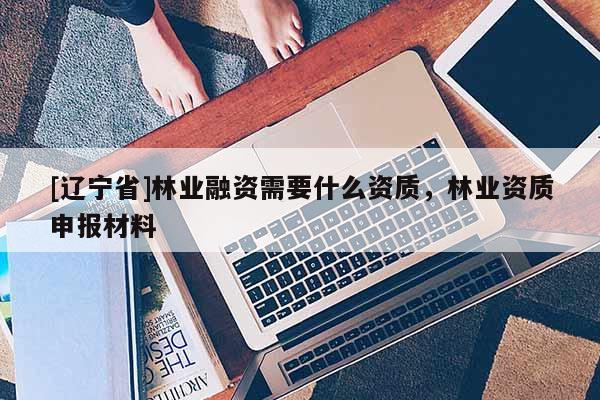 [辽宁省]林业融资需要什么资质，林业资质申报材料