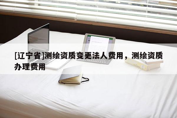 [辽宁省]测绘资质变更法人费用，测绘资质办理费用