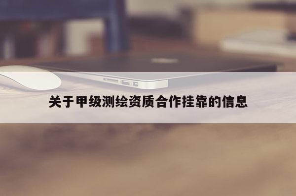关于甲级测绘资质合作挂靠的信息