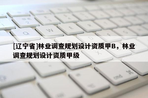 [辽宁省]林业调查规划设计资质甲B，林业调查规划设计资质甲级