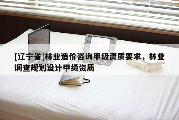 [辽宁省]林业造价咨询甲级资质要求，林业调查规划设计甲级资质