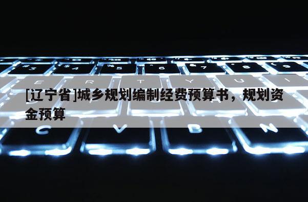 [辽宁省]城乡规划编制经费预算书，规划资金预算