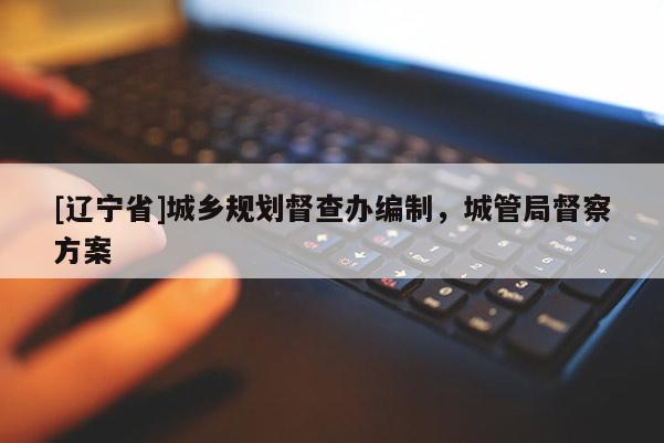[辽宁省]城乡规划督查办编制，城管局督察方案
