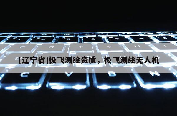 [辽宁省]极飞测绘资质，极飞测绘无人机