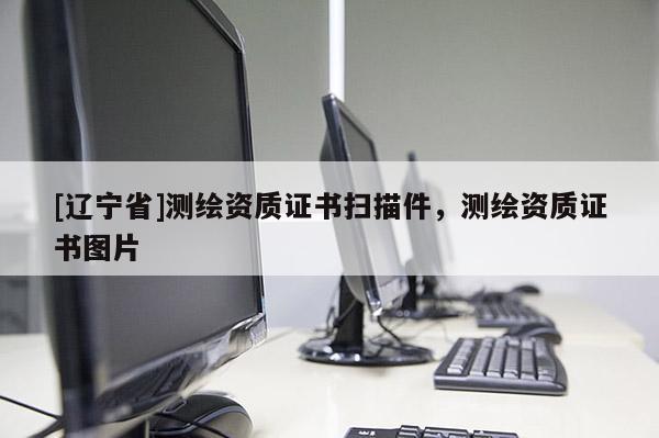 [辽宁省]测绘资质证书扫描件，测绘资质证书图片
