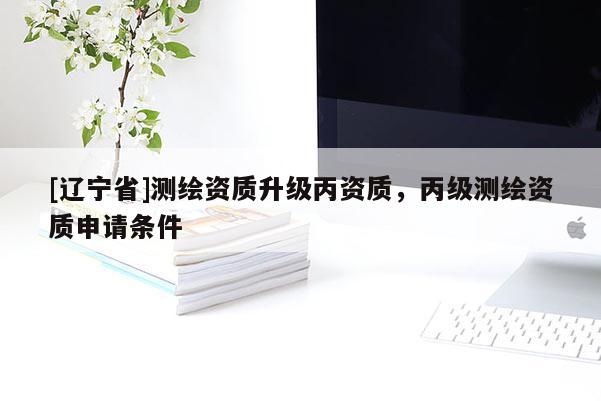 [辽宁省]测绘资质升级丙资质，丙级测绘资质申请条件