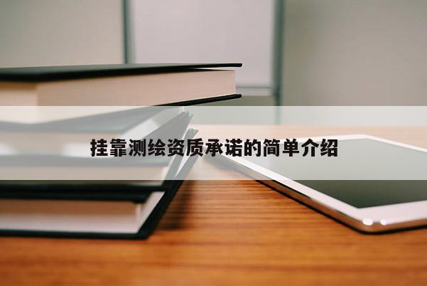 挂靠测绘资质承诺的简单介绍