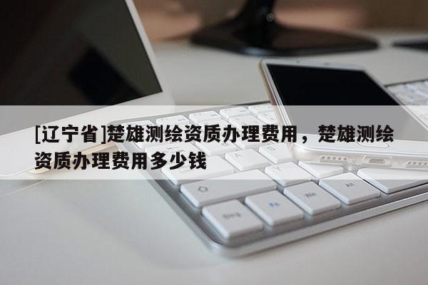 [辽宁省]楚雄测绘资质办理费用，楚雄测绘资质办理费用多少钱