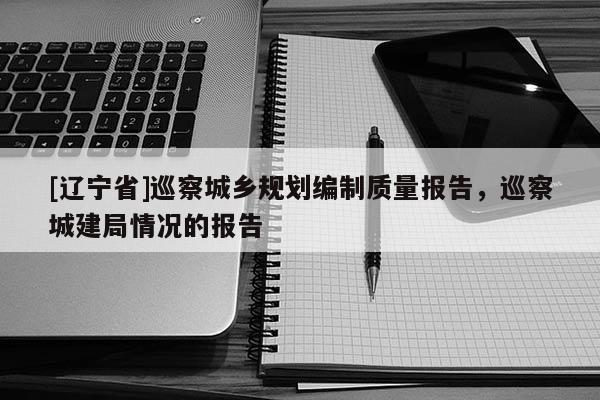 [辽宁省]巡察城乡规划编制质量报告，巡察城建局情况的报告