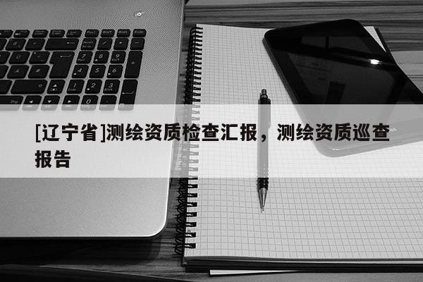 [辽宁省]测绘资质检查汇报，测绘资质巡查报告