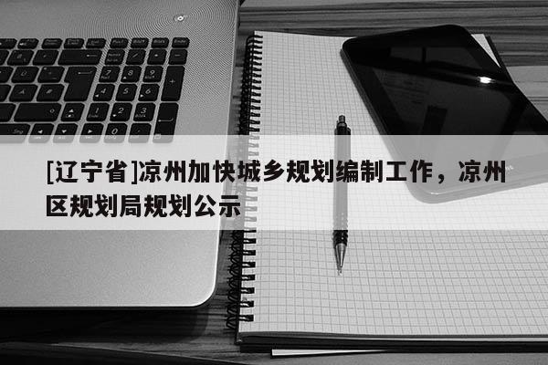 [辽宁省]凉州加快城乡规划编制工作，凉州区规划局规划公示