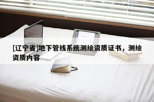 [辽宁省]地下管线系统测绘资质证书，测绘资质内容