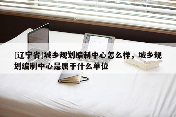 [辽宁省]城乡规划编制中心怎么样，城乡规划编制中心是属于什么单位