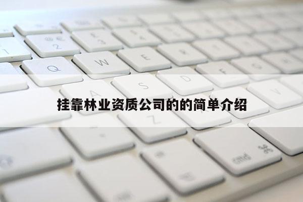 挂靠林业资质公司的的简单介绍