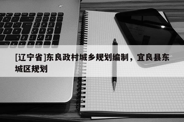 [辽宁省]东良政村城乡规划编制，宜良县东城区规划