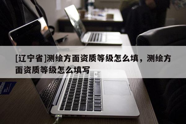 [辽宁省]测绘方面资质等级怎么填，测绘方面资质等级怎么填写