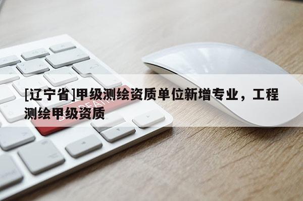[辽宁省]甲级测绘资质单位新增专业，工程测绘甲级资质