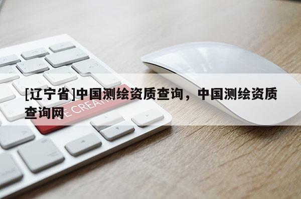 [辽宁省]中国测绘资质查询，中国测绘资质查询网