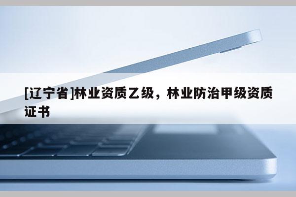 [辽宁省]林业资质乙级，林业防治甲级资质证书