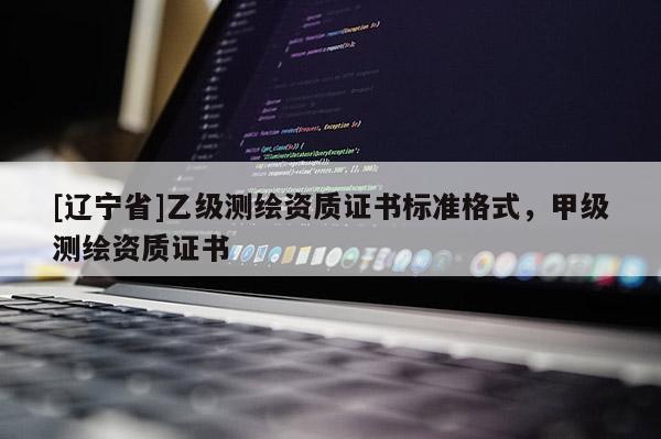 [辽宁省]乙级测绘资质证书标准格式，甲级测绘资质证书