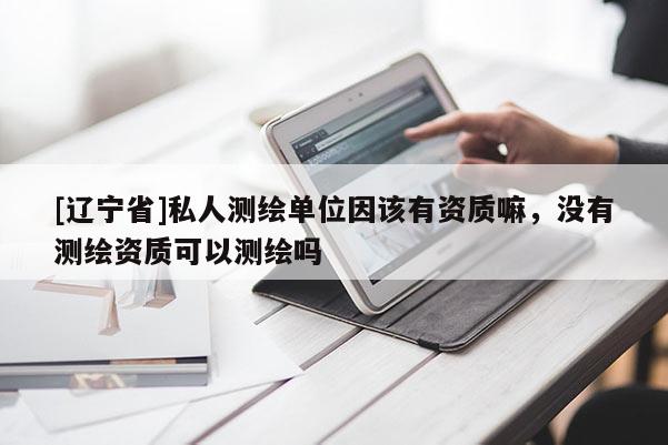 [辽宁省]私人测绘单位因该有资质嘛，没有测绘资质可以测绘吗